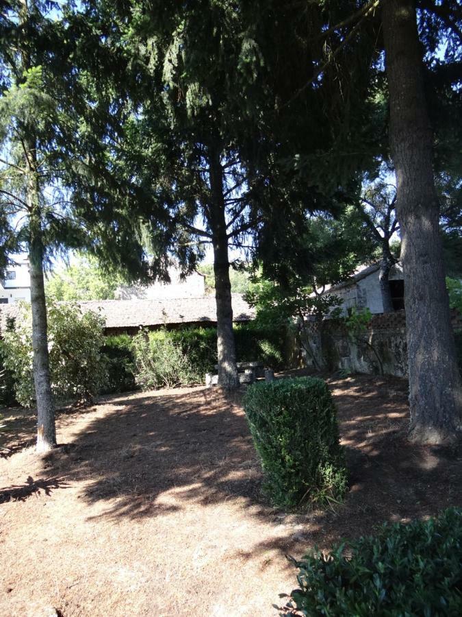منزل الضيف Sernancelhe  في Museu Casa Aleixo المظهر الخارجي الصورة
