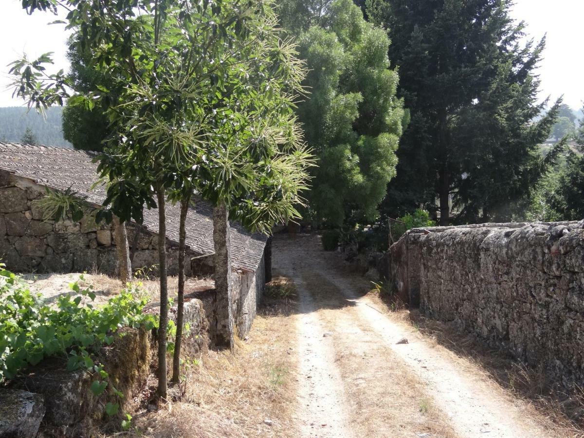 منزل الضيف Sernancelhe  في Museu Casa Aleixo المظهر الخارجي الصورة