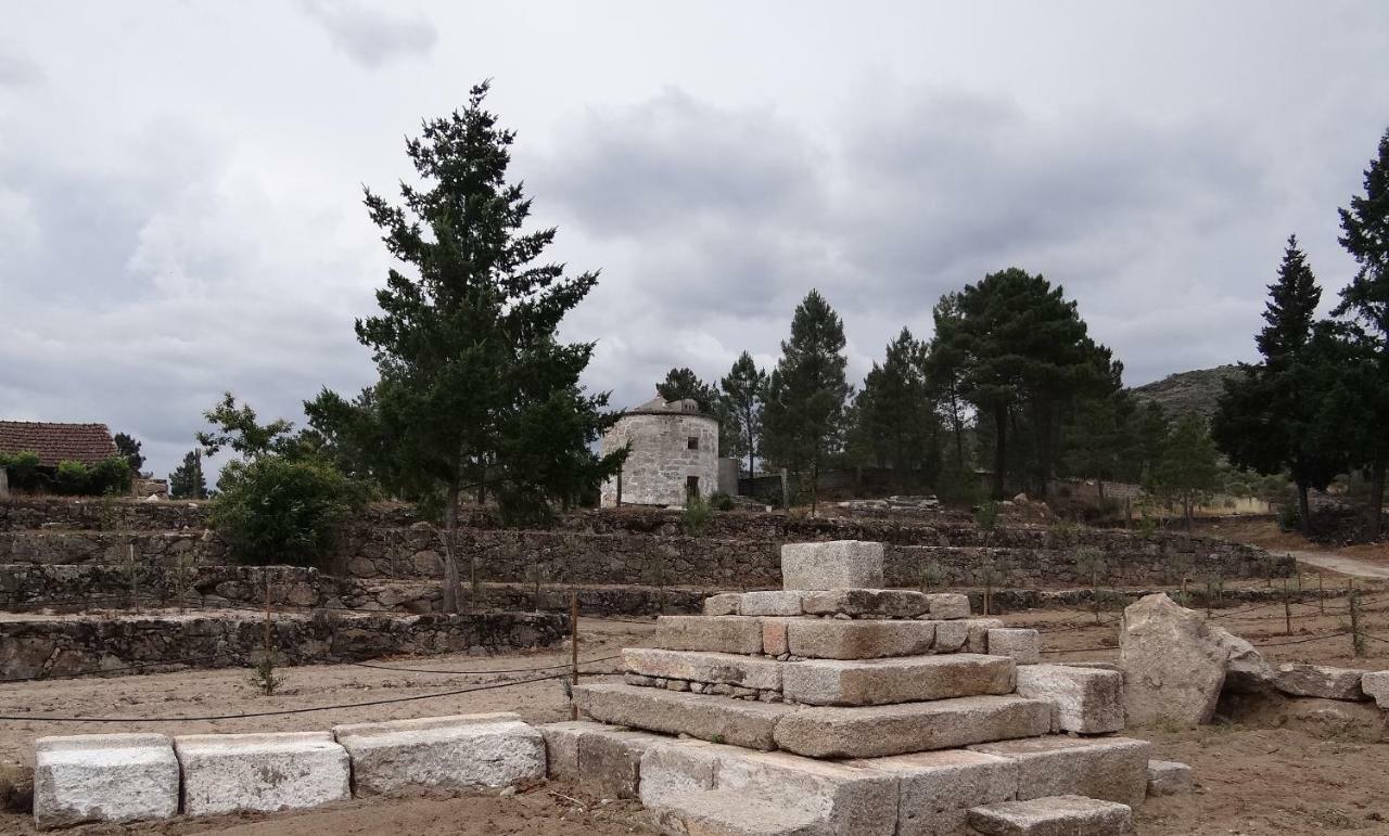 منزل الضيف Sernancelhe  في Museu Casa Aleixo المظهر الخارجي الصورة